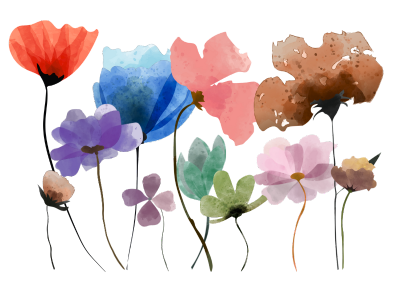 Palette automne-hiver 2025 –