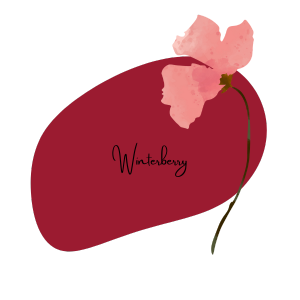 Palette automne-hiver 2025 – Winterberry
